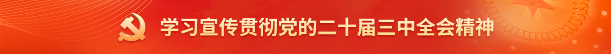 学习宣传贯彻党的二十届三中全会精神